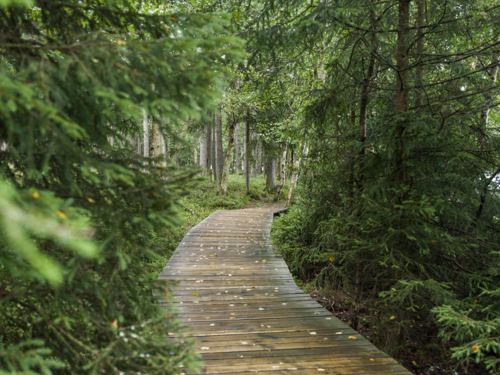 Falkensteiner Spa Resort Marianske Lazne Exterior foto The boardwalk at the end of the trail